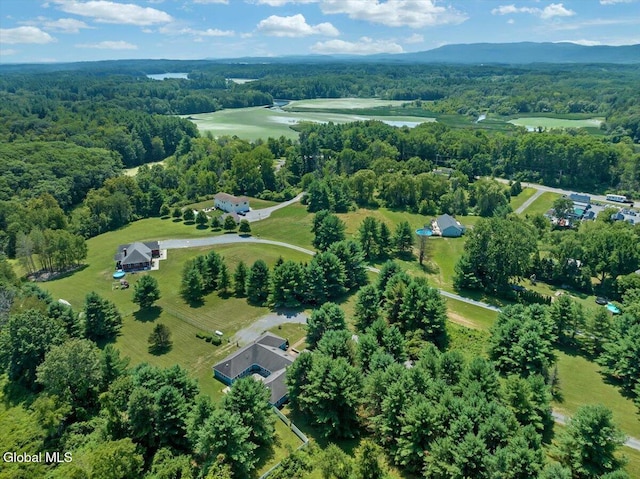 6990 State Route 158, Altamont, NY 12009 - photo 26