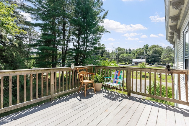 17 Mullens Rd, Bethlehem, NY 12159 - photo 30