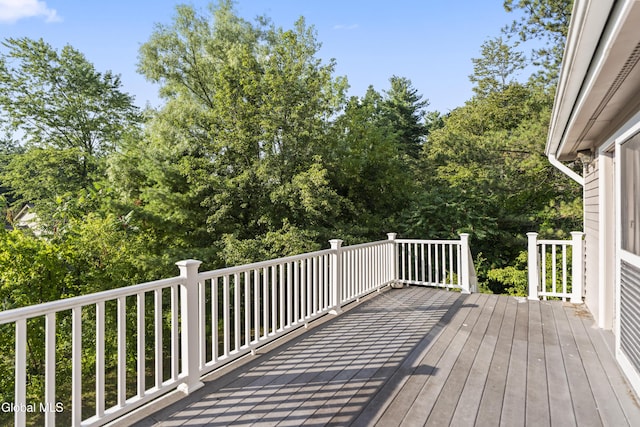 209 Tamar Dr, Niskayuna, NY 12309 - photo 59