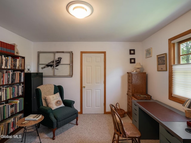 104 Eberle Rd, Chatham, NY 12184 - photo 12