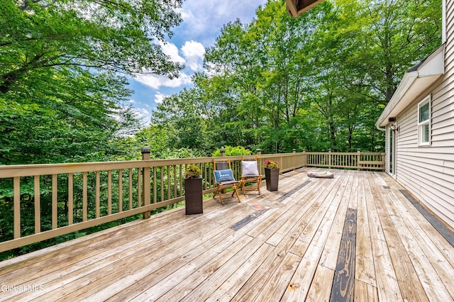 16575 State Route 22, Stephentown, NY 12168 - photo 9