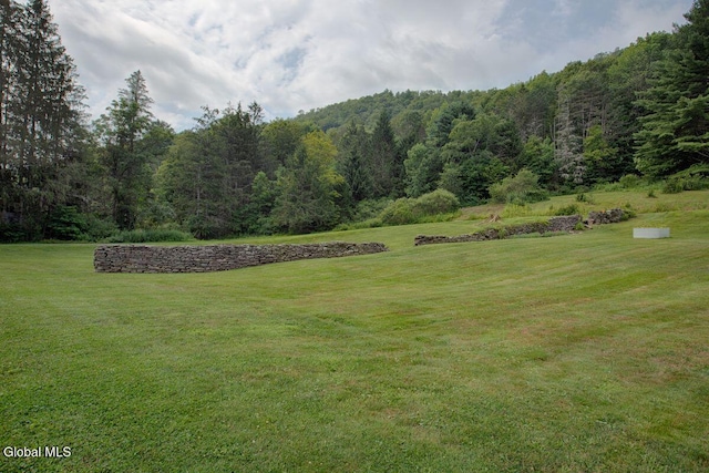 1317 County Highway 67, Hancock, NY 13783 - photo 4