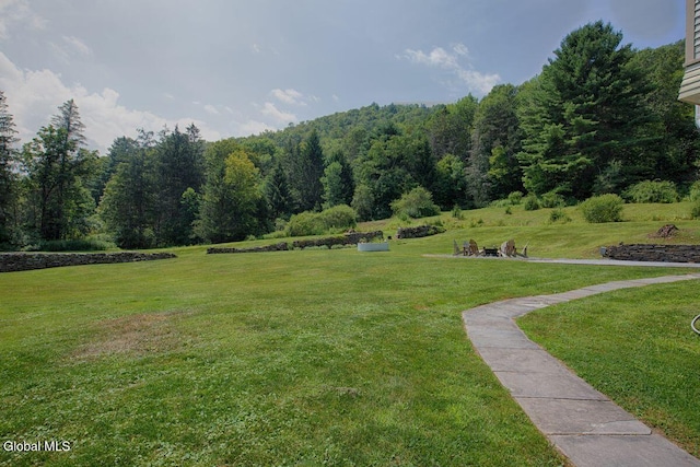 1317 County Highway 67, Hancock, NY 13783 - photo 46