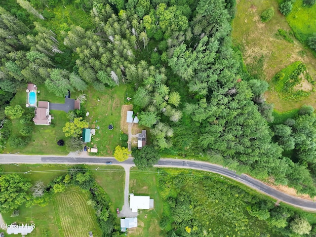 251 Hopson Rd, Dolgeville, NY 13329 - photo 3