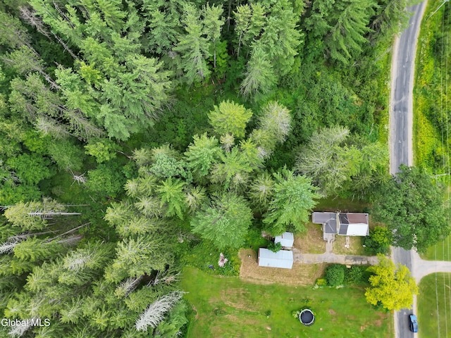 251 Hopson Rd, Dolgeville, NY 13329 - photo 5
