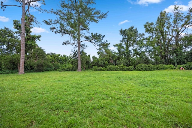 161 W Main St, Lakeland, GA 31635 - photo 4