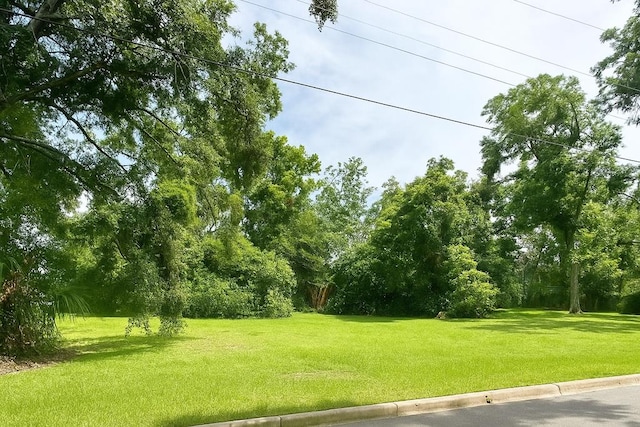 201 N Wells St, Valdosta, GA 31601 - photo 5