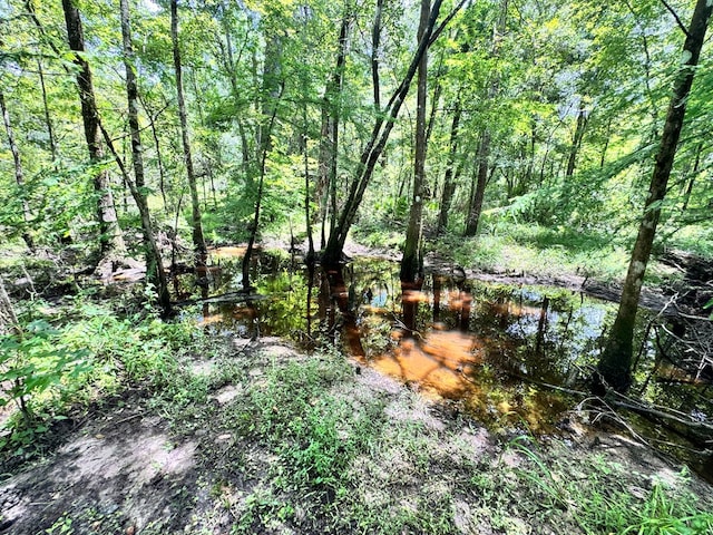 6936 Simpson Rd, Hahira, GA 31632