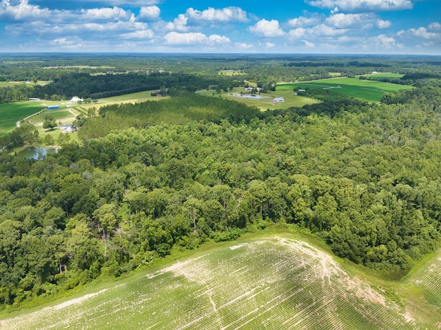 6936 Simpson Rd, Hahira, GA 31632