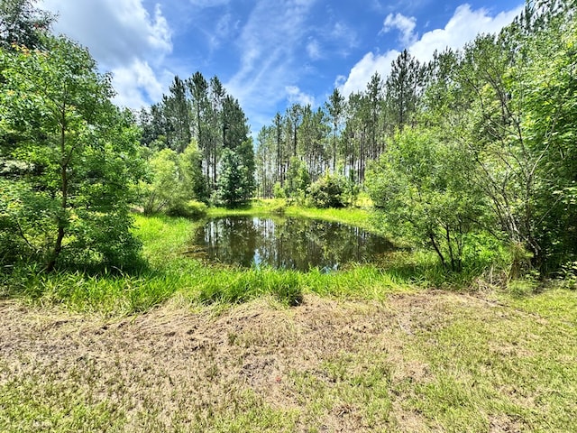 6936 Simpson Rd, Hahira, GA 31632