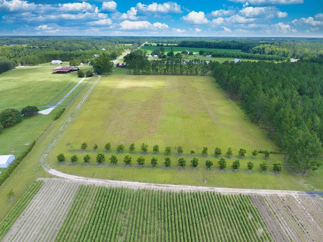 6936 Simpson Rd, Hahira, GA 31632