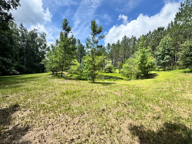 6936 Simpson Rd, Hahira, GA 31632