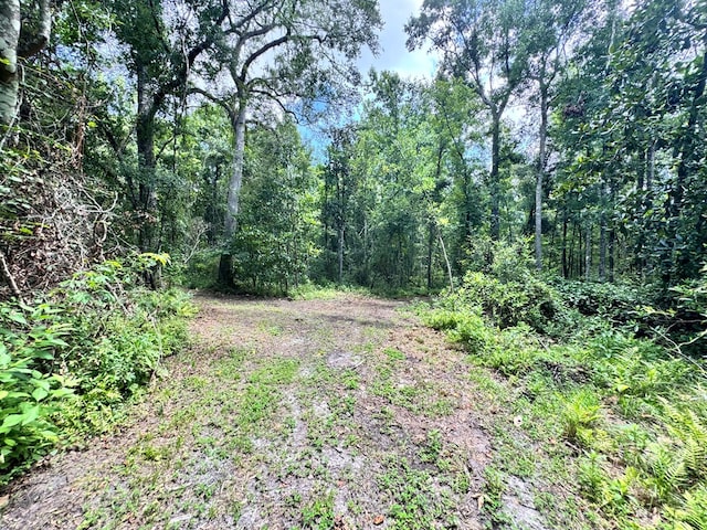 6936 Simpson Rd, Hahira, GA 31632