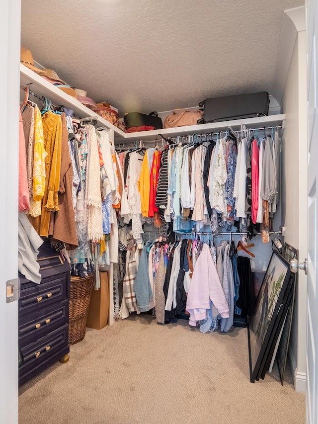 walk in closet with carpet floors