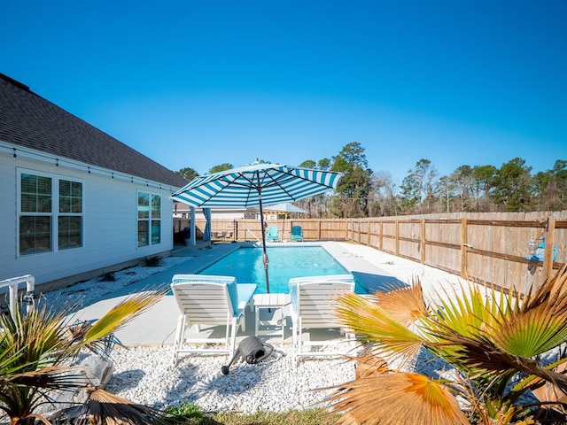 view of pool featuring a fenced in pool, a fenced backyard, and a patio