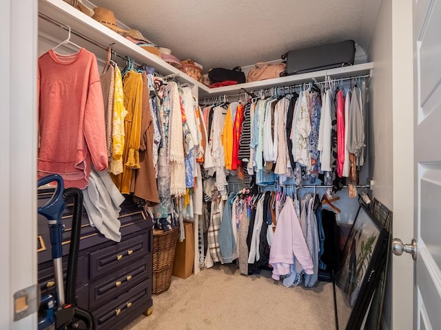 spacious closet with carpet