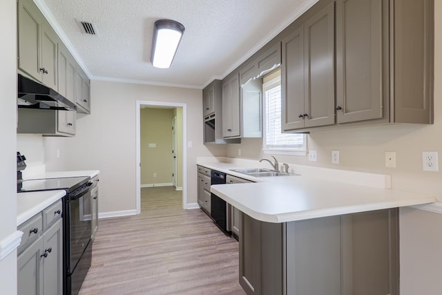 kitchen featuring under cabinet range hood, a sink, visible vents, light countertops, and black appliances