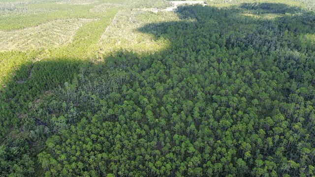 TRACTB Bergman Rd, Naylor, GA 31641 - photo 3