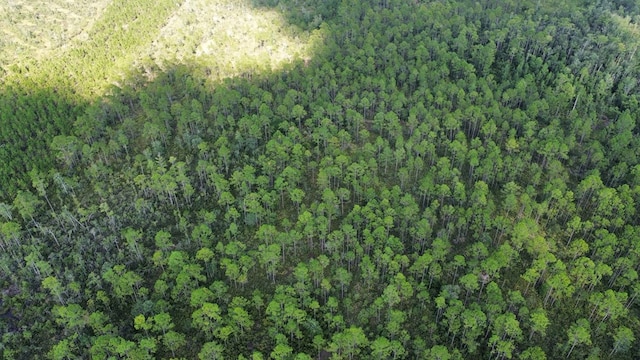 TRACTB Bergman Rd, Naylor, GA 31641 - photo 2