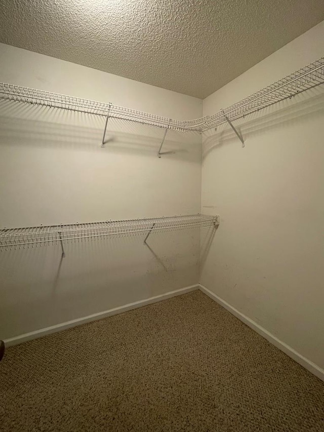 4331 Summerlin Dr, Valdosta, GA 31605 - walk in closet featuring carpet