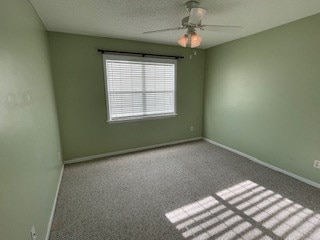 empty room featuring a ceiling fan, baseboards, and carpet