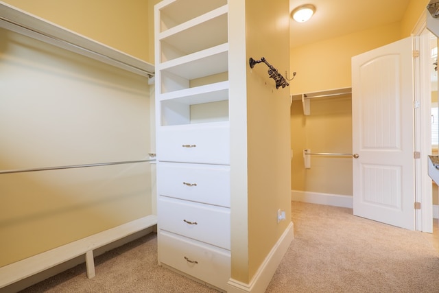 walk in closet with light colored carpet