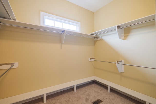 spacious closet featuring carpet