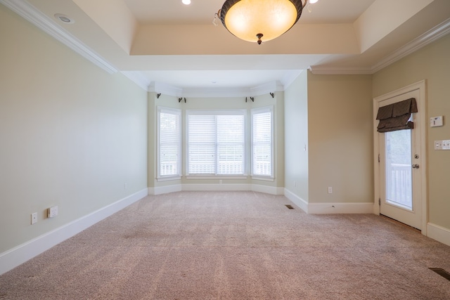 spare room featuring carpet flooring, a raised ceiling, and crown molding