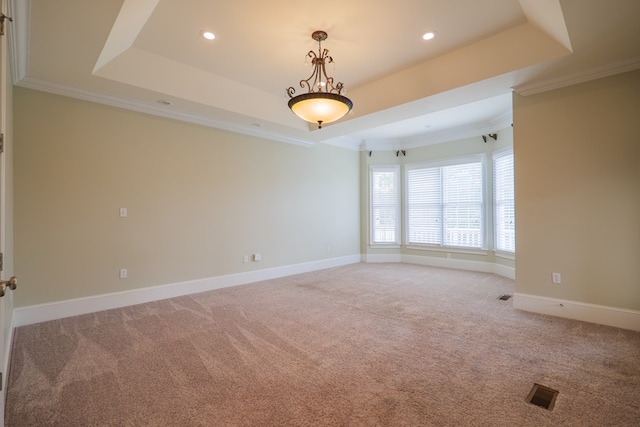 empty room with light colored carpet, a raised ceiling, and ornamental molding