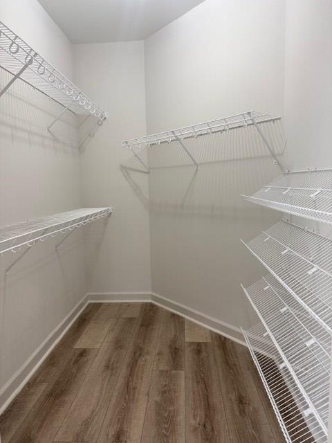 spacious closet with dark wood-type flooring