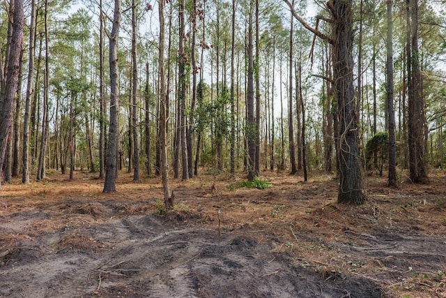 view of local wilderness