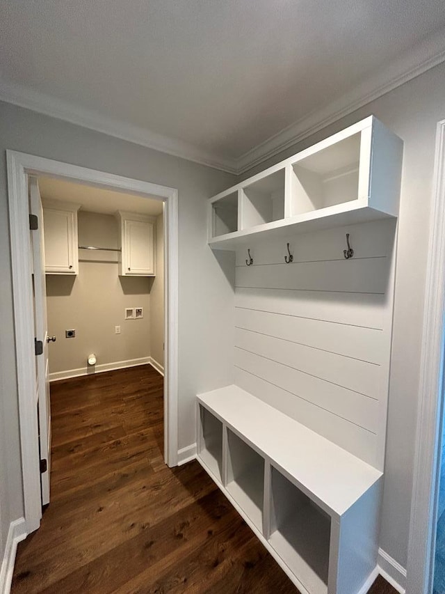 mudroom featuring dark wood-type flooring