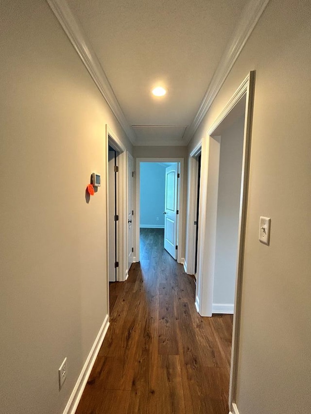 hallway with a textured ceiling, dark wood-type flooring, and crown molding