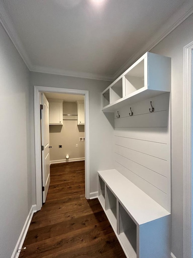 mudroom with crown molding and dark wood-type flooring