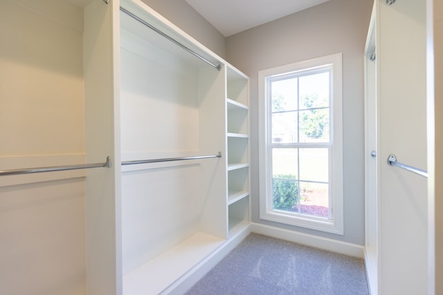 5039 Hatfield Cir, Hahira, GA 31632 - walk in closet featuring carpet floors