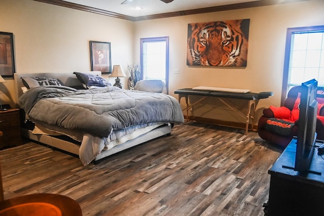 bedroom with multiple windows, crown molding, and dark hardwood / wood-style flooring