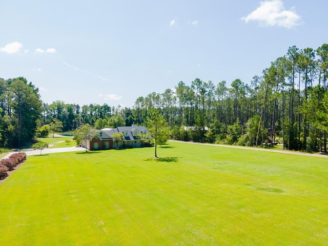 5292 Futch Rd, Hahira, GA 31632 - photo 72