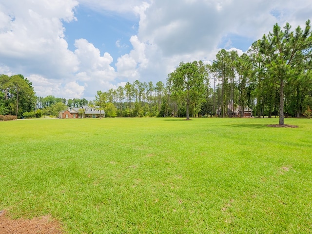 5292 Futch Rd, Hahira, GA 31632 - photo 61