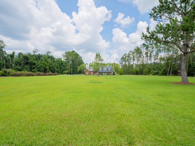 5292 Futch Rd, Hahira, GA 31632 - photo 65
