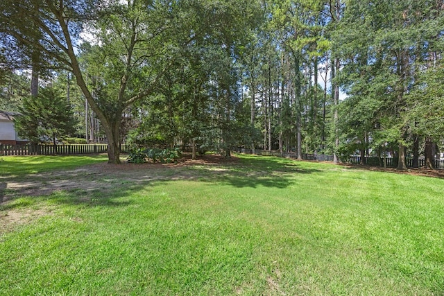 4603 Tillman Blf, Valdosta, GA 31602 - photo 66