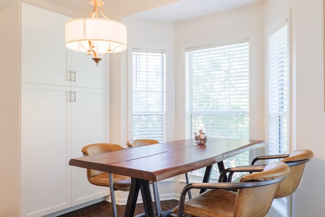 dining area with dark hardwood / wood-style flooring