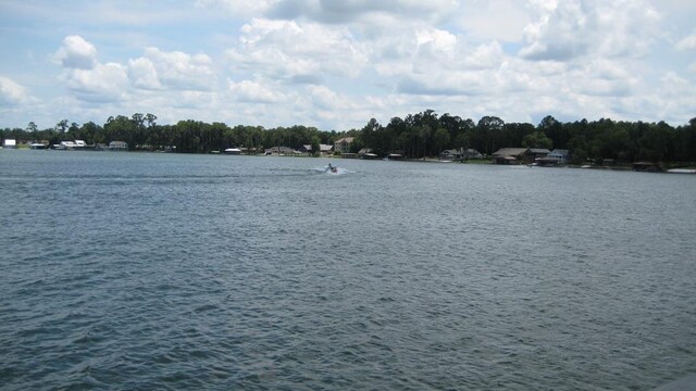 206 Harris Trl, Lake Park, GA 31636 - water view