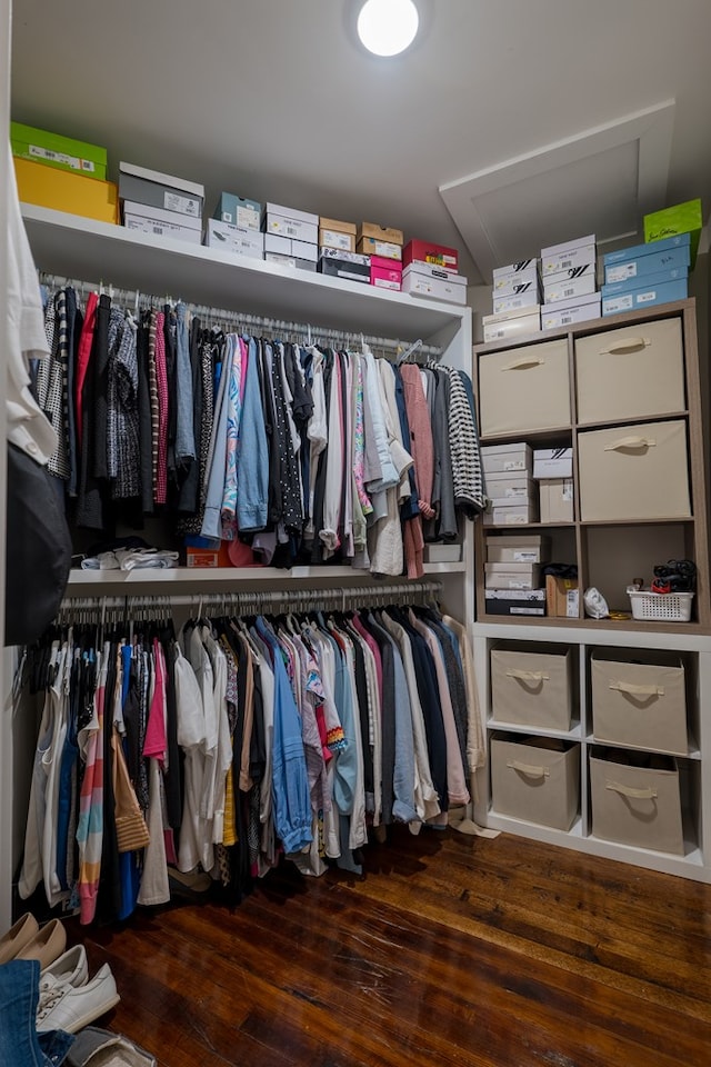 walk in closet featuring dark hardwood / wood-style floors