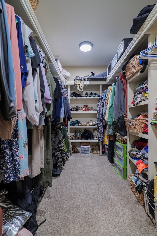 walk in closet featuring carpet floors