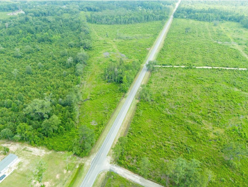 TBD Church Rd, Stockton, GA 31649 - photo 3