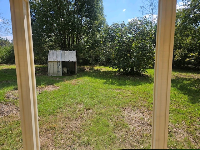 view of yard featuring a storage shed