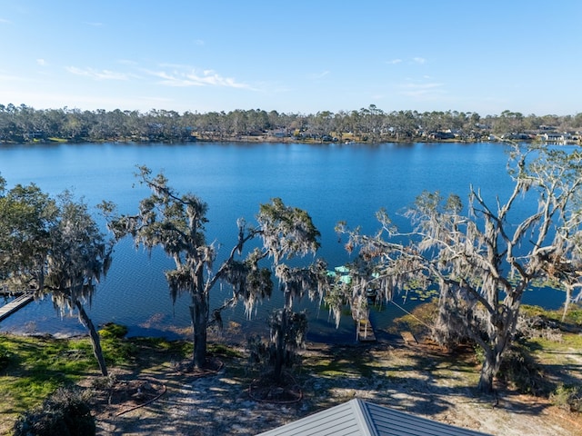 property view of water