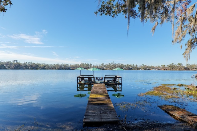 dock area featuring a water view