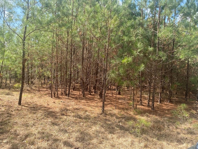 view of local wilderness featuring a wooded view