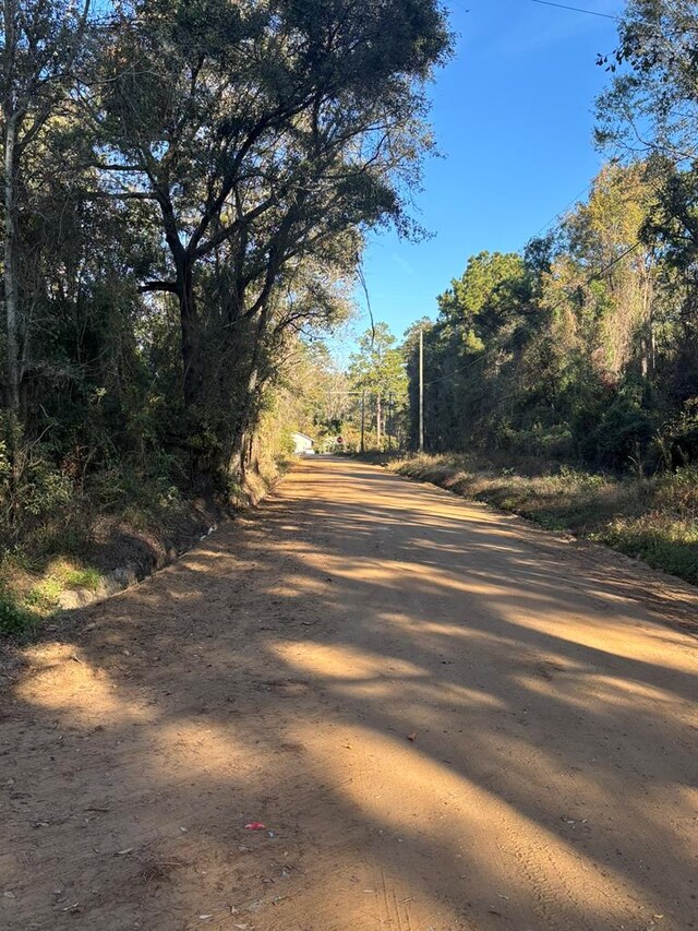 56 Egypt Rd Unit 10, Thomasville, GA 31757 - view of dirt / gravel road